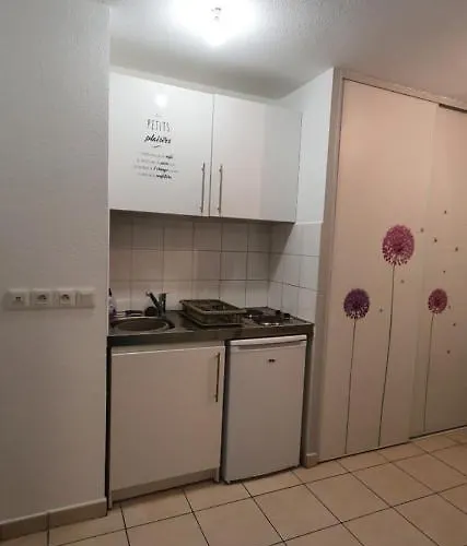 Medicis Charmant Studio Climatise Port Riquier Acropolis Apartment Nice