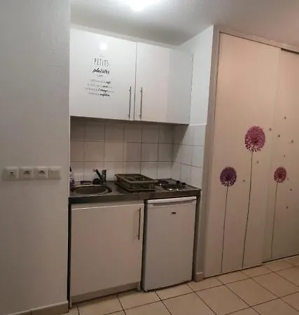 Medicis Charmant Studio Climatise Port Riquier Acropolis شقة نيس